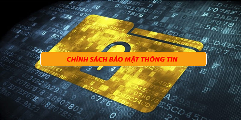 Cách B8B sử dụng thông tin
