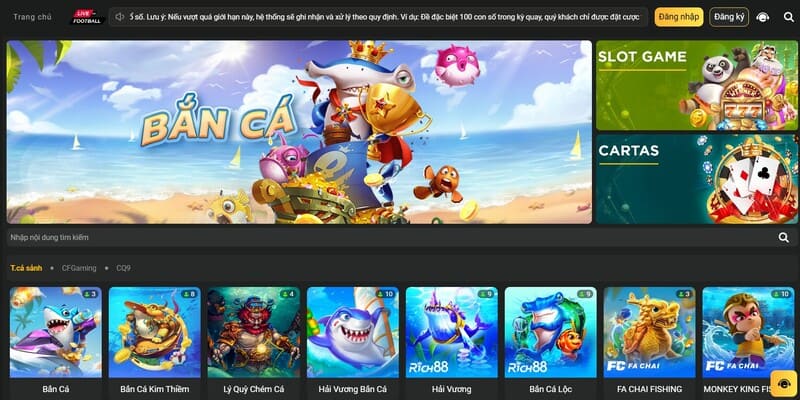 Giới thiệu cơ bản B8B8